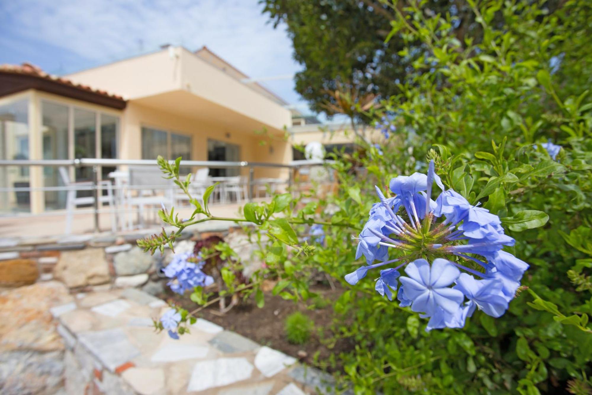 Achilleas Beach Hotel Adults Only Μαστιχάρι Εξωτερικό φωτογραφία